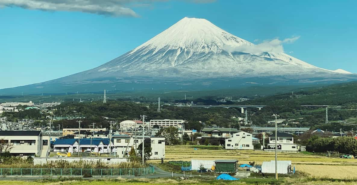 One Day Private Tour to Mt Fuji & Hakone With English Driver - Key Takeaways