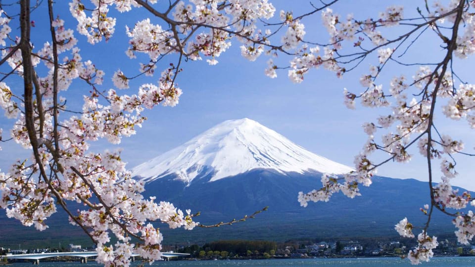 One Day Private Tour to Mt Fuji & Hakone With English Driver - Customer Reviews and Recommendations