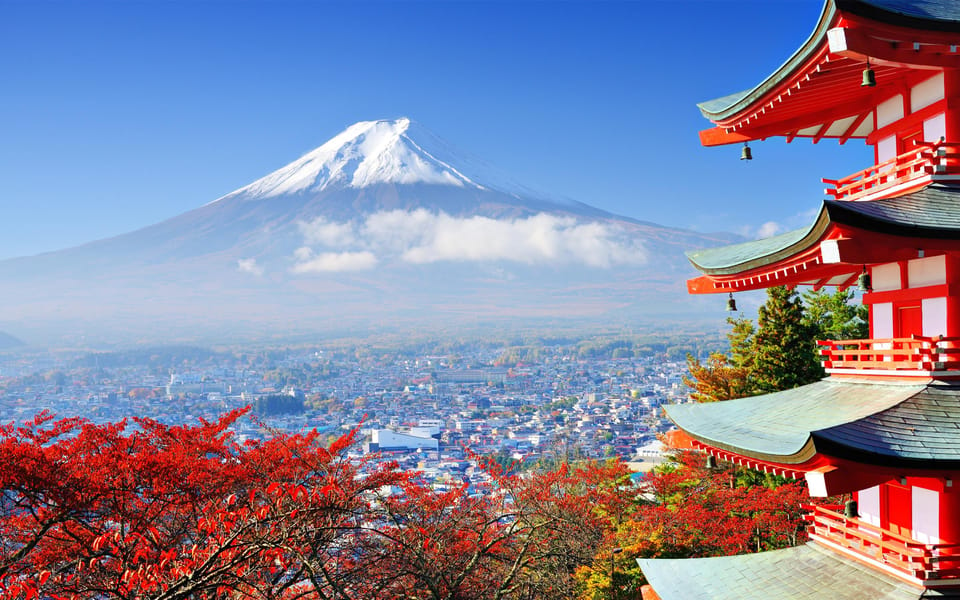 One Day Private Tour to Mt Fuji & Hakone With English Driver - Traveler Experiences and Important Information