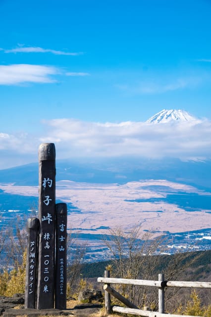 One Day Private Tour to Mt Fuji & Hakone With English Driver - Frequently Asked Questions