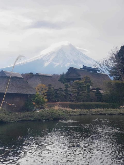 From Tokyo: Mt. Fuji And Hakone Private Sightseeing Day Trip - Itinerary A - A Glimpse of Fujis Majesty