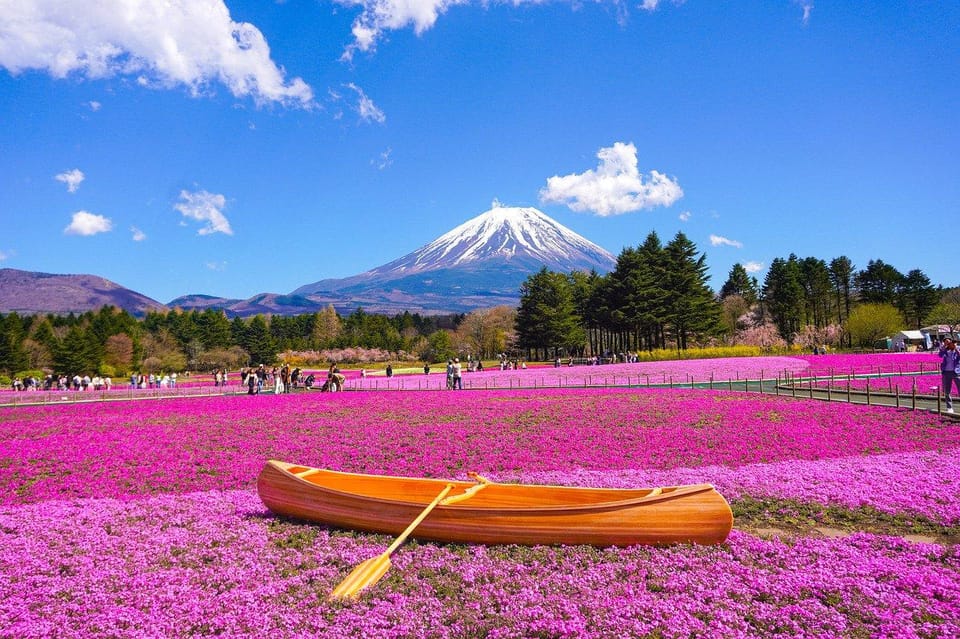 From Tokyo: Mt. Fuji And Hakone Private Sightseeing Day Trip - Frequently Asked Questions