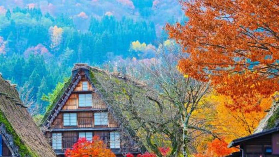 One Day Private Tour to Shirakawa-go & Takayama - Key Takeaways