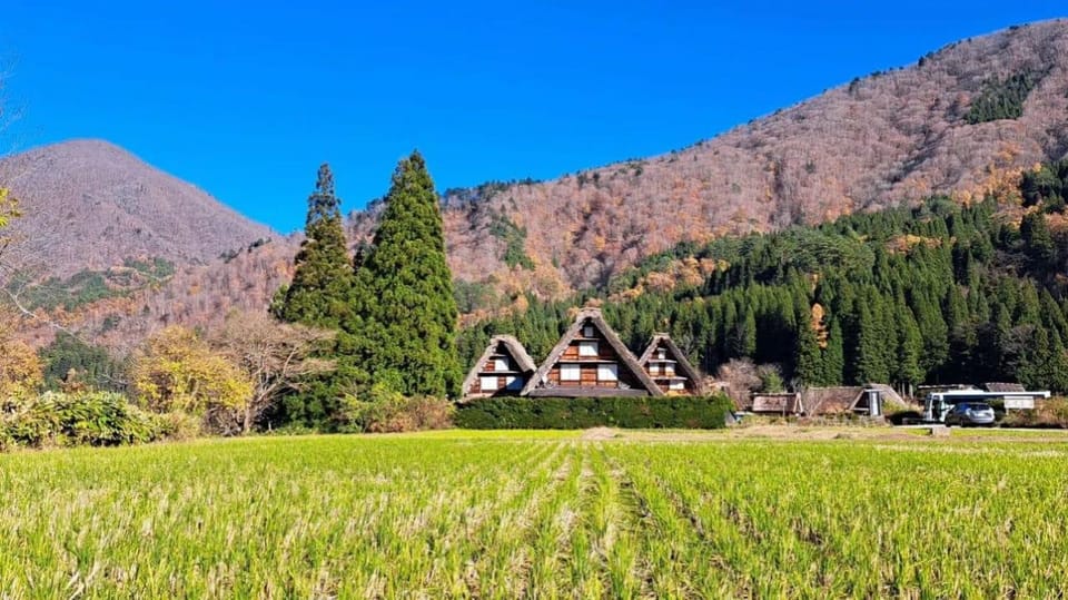 One Day Private Tour to Shirakawa-go & Takayama - Pricing and Inclusions