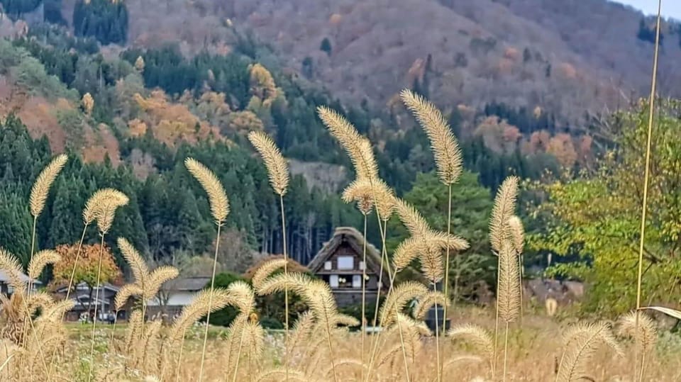 One Day Private Tour to Shirakawa-go & Takayama - Booking Information