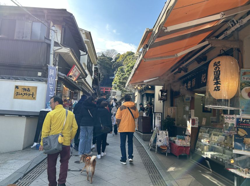 Enoshima: Highlights Walking Tour With Local Guide - Group Size and Language