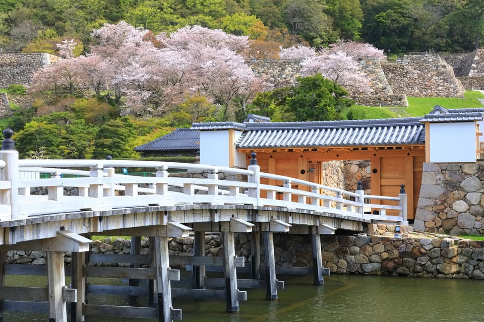 Tokyo: Chiyoda Imperial Palace Walking Tour - Key Takeaways