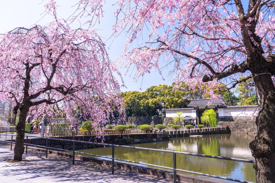 Tokyo: Chiyoda Imperial Palace Walking Tour - Meeting Point