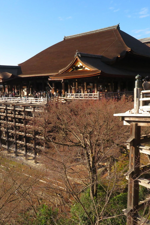 Kyoto: The Best of Kyoto - Half Day Private Tour - Itinerary Highlights