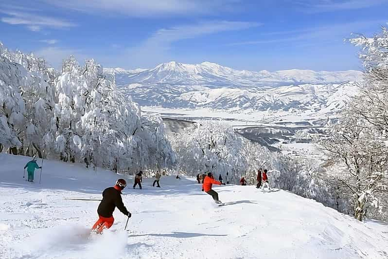 Snow Monkey & ZinkoJi With Sake Tasting Private Tour - Itinerary