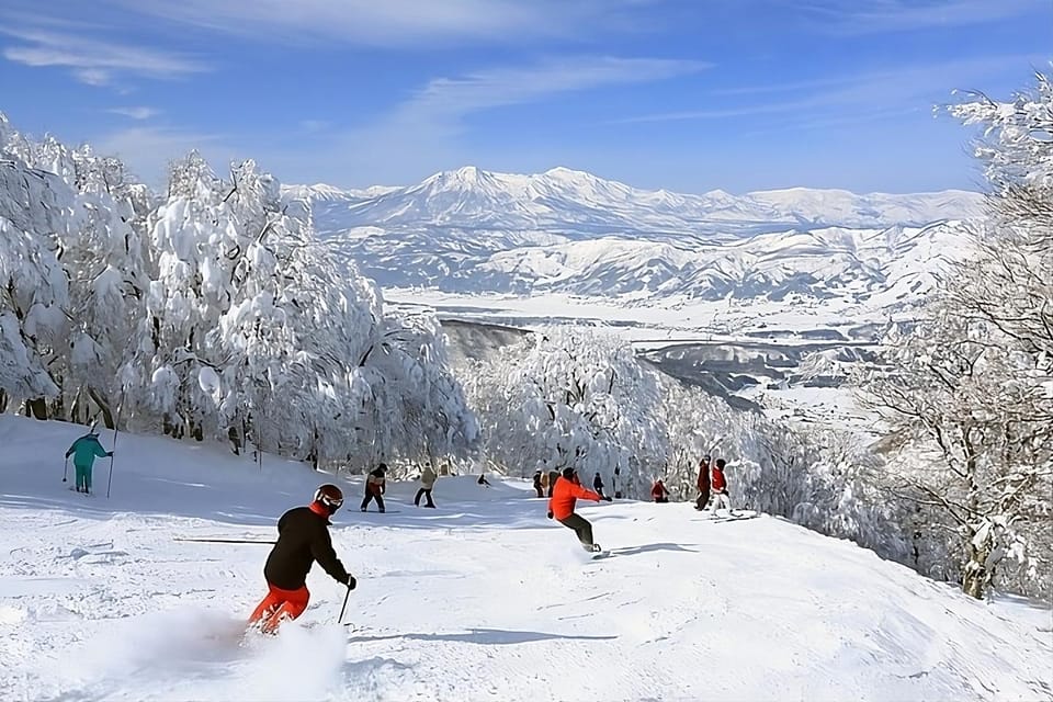 Snow Monkey & ZinkoJi With Sake Tasting Private Tour - Frequently Asked Questions