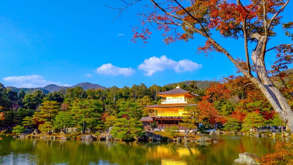 Kyoto: Private Customizable Day Trip by Car - Experience