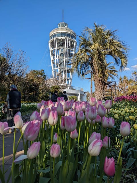 Enchanting Morning Walk on Enoshima Island - Key Takeaways