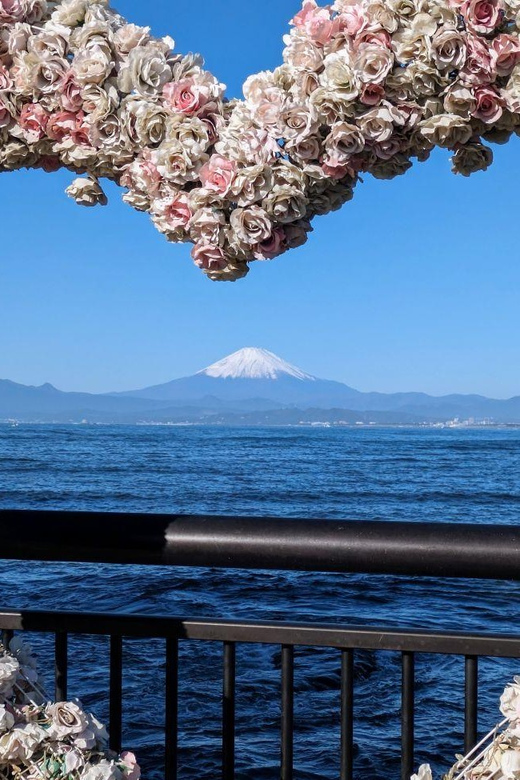 Enchanting Morning Walk on Enoshima Island - Enoshima Island Morning Tour Important Info