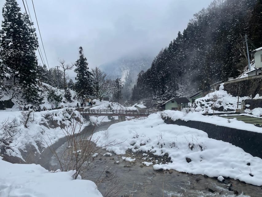 Nagano 1 Day Private Tour (Snow Monkeys, Zenkoji) With Lunch - Sights