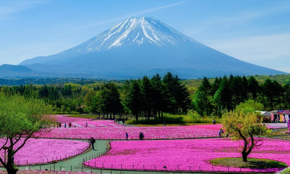 View of Mt. Fuji, Chureito Pagoda and Hakone Cruise Day Trip - Important Reminders