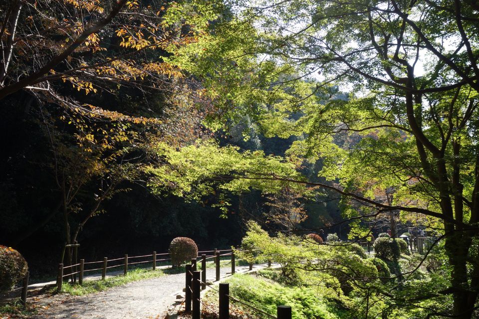 Kyoto: Ginkakuji and the Philosophers Path Guided Bike Tour - Tour Highlights
