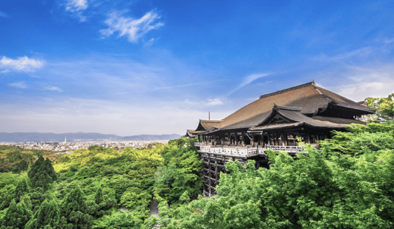 A Customized One Day Immersion in Kyoto - Booking Information