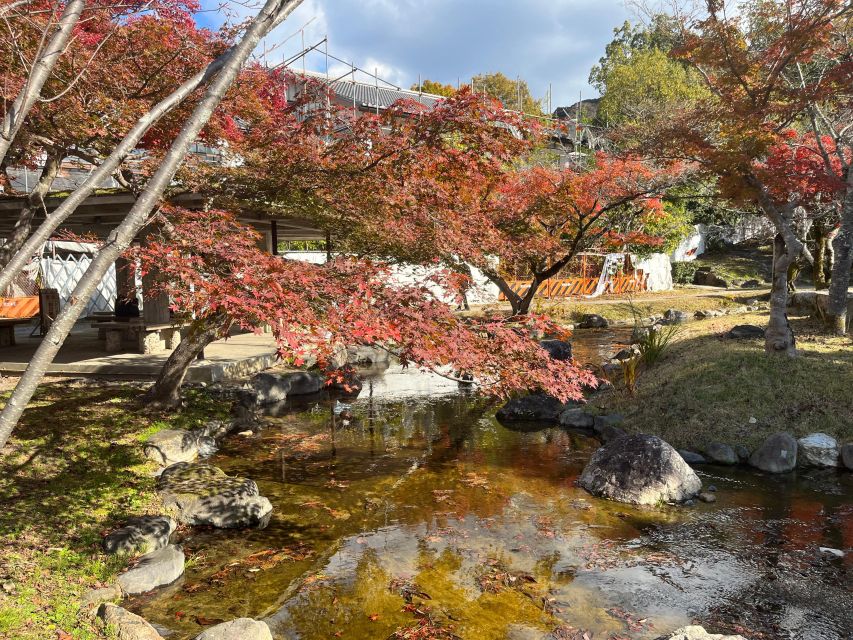 Kyoto: Half-Day Private Guided Tour to the Old Town of Gion - Accessibility and Group Type