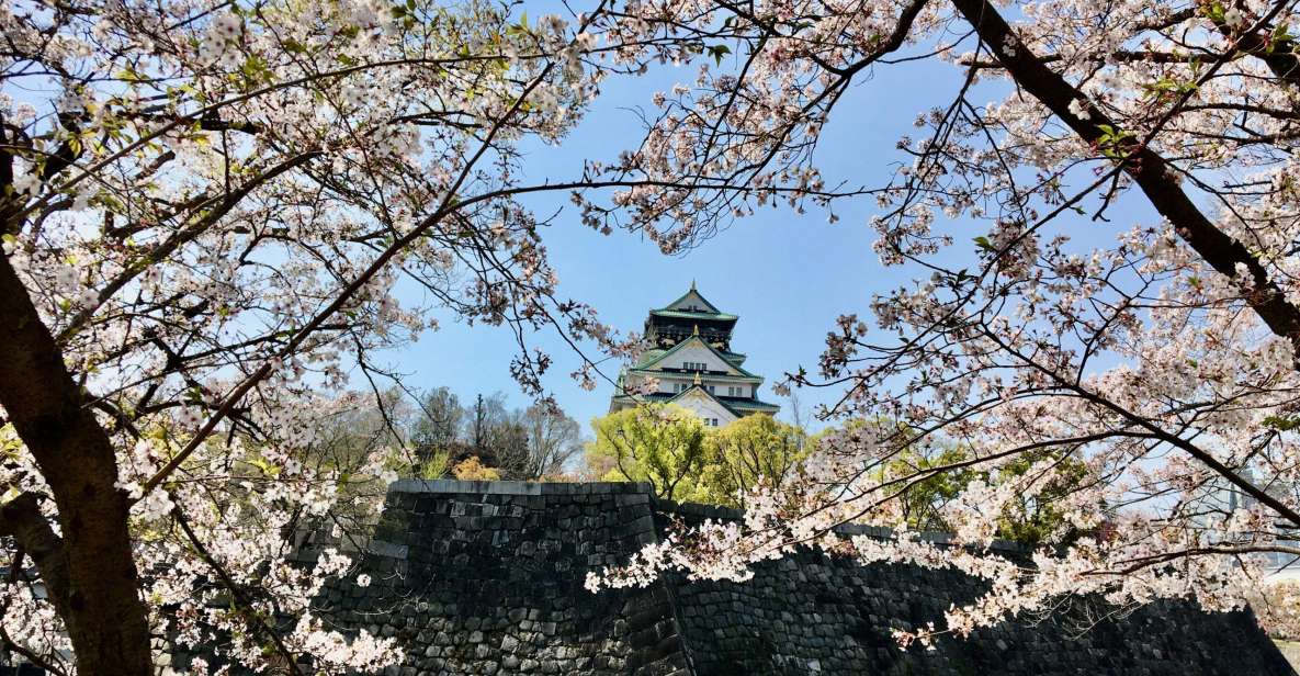 Osaka: Half-Day Private Guided Tour of the Castle - Booking