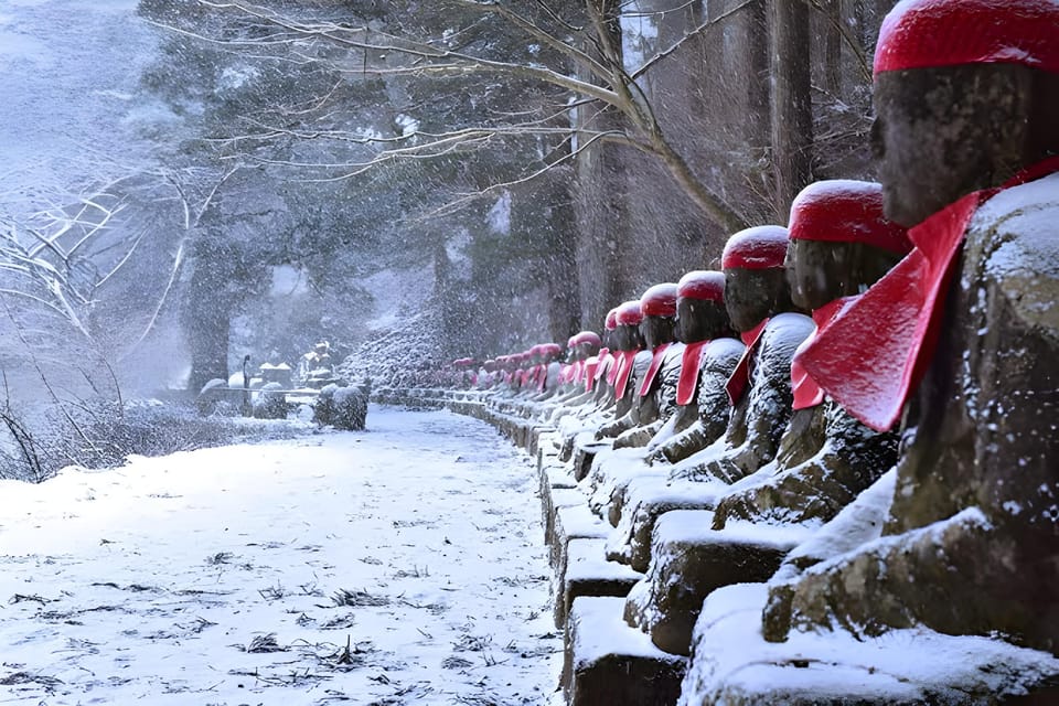 Nikko Private Full-Day Sightseeing Day Tour - Optional Drop-off Locations