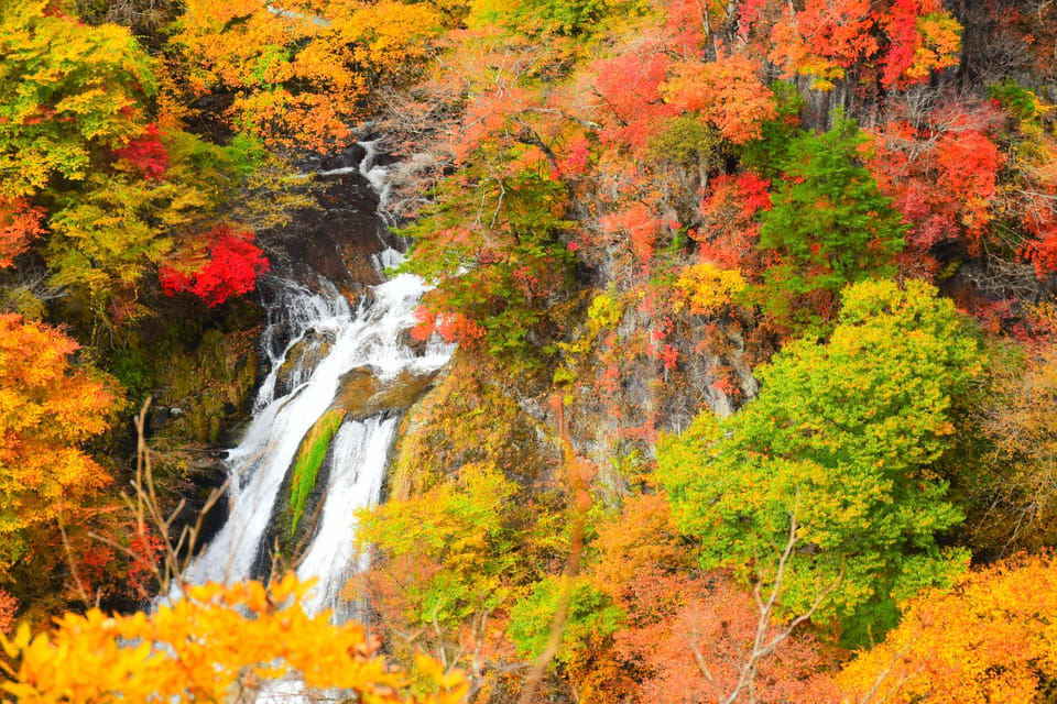 Nikko Private Full-Day Sightseeing Day Tour - Stops