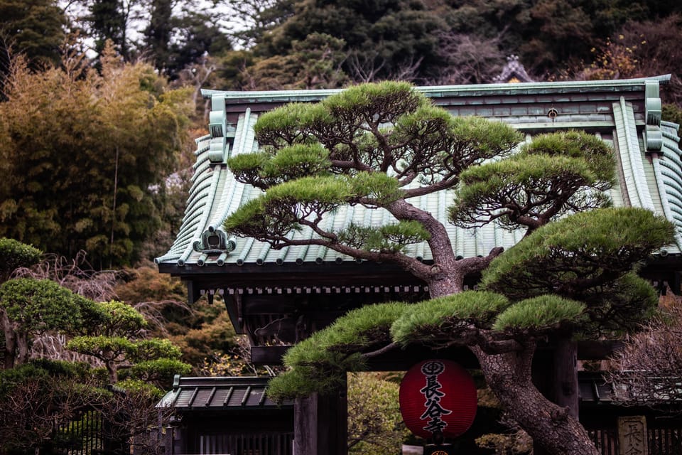 Kamakura: Full Day Private Tour With English Guide - Itinerary Highlights