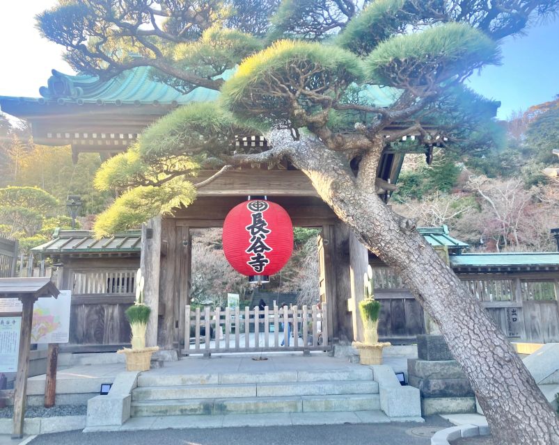 Kamakura: Half Day Walking Tour & Japanese Sweets - Local Experience Stats