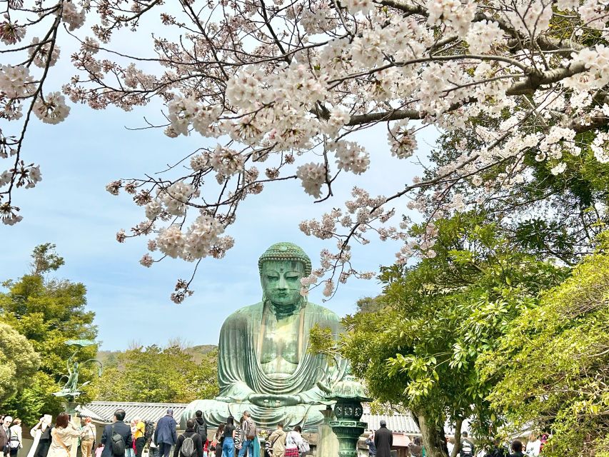 Kamakura: Half Day Walking Tour & Japanese Sweets - Additional Details