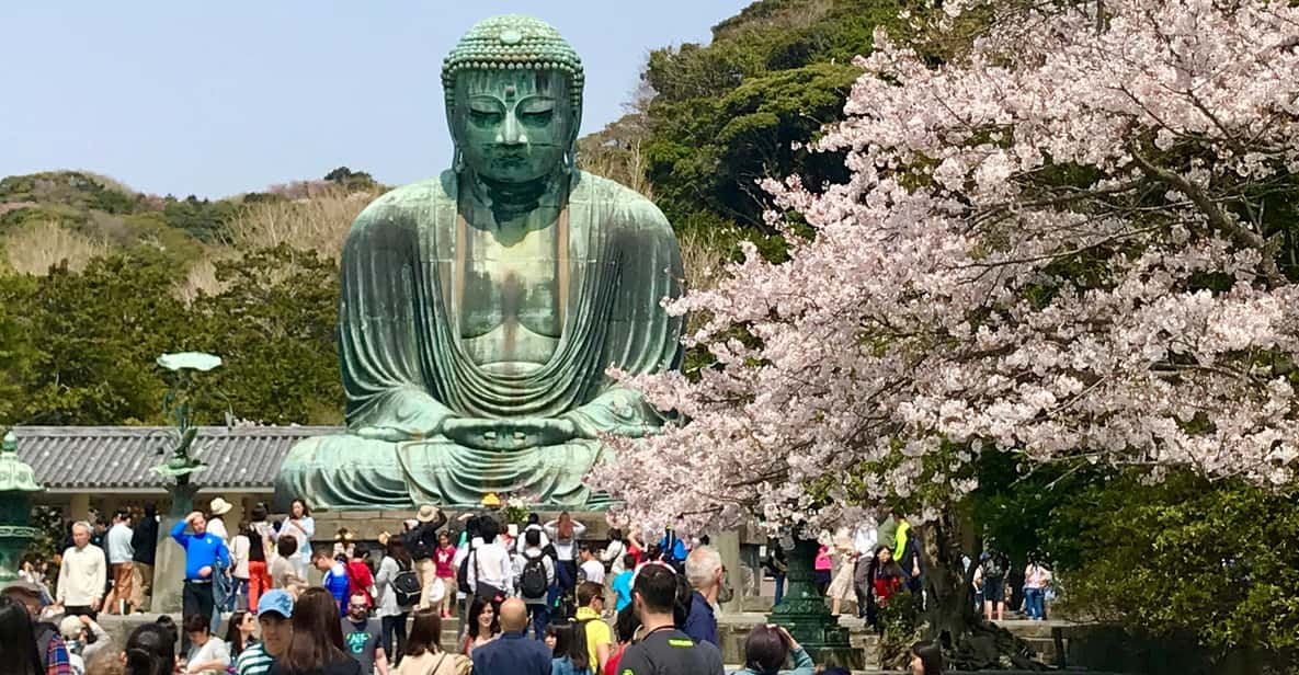 Kamakura & Yokohama: Highlights Tour - Experience