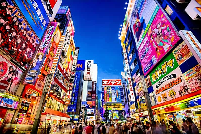 Tokyo: Full-Day Private Tour With English-Speaking Guide - Additional Information