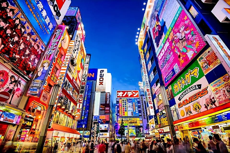 Tokyo: Full-Day Private Tour With English-Speaking Guide - Conclusion