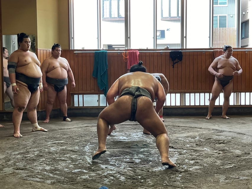 Tokyo: Visit Sumo Morning Practice With English Guide - Inclusions