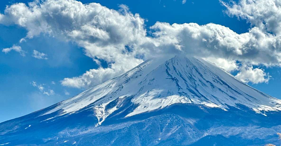 From Tokyo: Mount Fuji Full Day Private Customize Tour - Tour Details