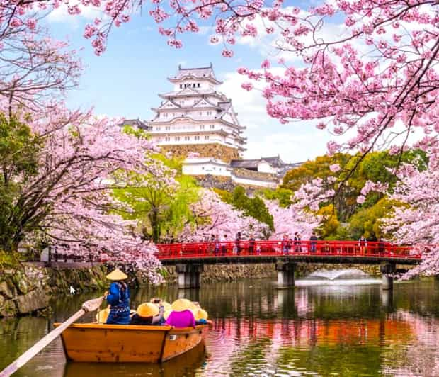 10-Day Private Guided Tour in Japan Moreover 15 Attractions - Key Takeaways