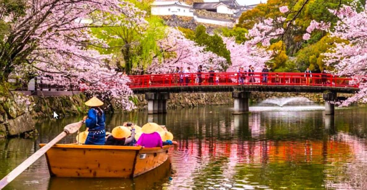 10-Day Private Guided Tour in Japan Moreover 15 Attractions - Vibrant Osaka Experience