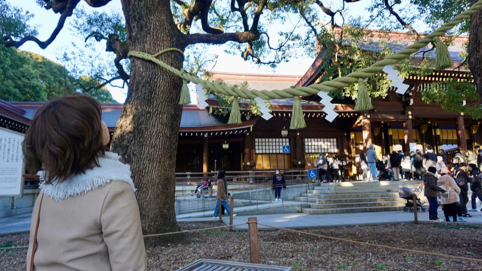 Tokyo Harajuku Meiji Shrine 1h Walking Explanation Tour - Itinerary Highlights