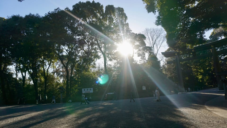 Tokyo Harajuku Meiji Shrine 1h Walking Explanation Tour - Experience Overview