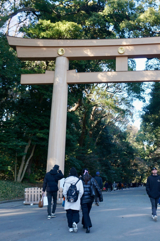 Tokyo Harajuku Meiji Shrine 1h Walking Explanation Tour - Shrine Exploration