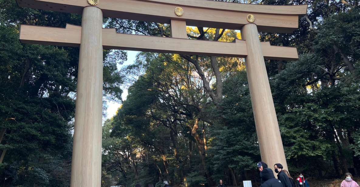 Tokyo Harajuku Meiji Jingu Shrine 1h Walking Tour - Activity Highlights