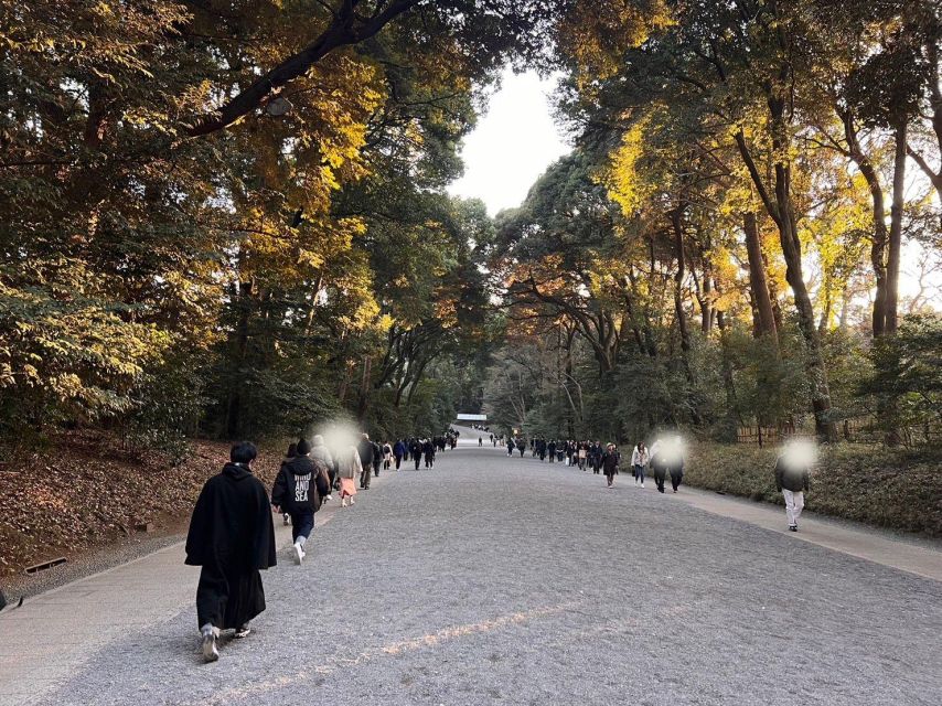 Tokyo Harajuku Meiji Jingu Shrine 1h Walking Tour - Directions