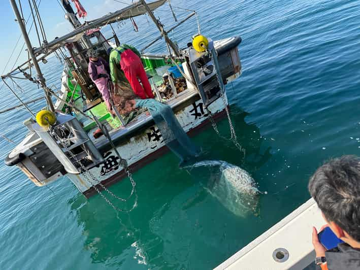 Fishing on a Fishing Boat & Bottom Trawl Tour - Experience Description