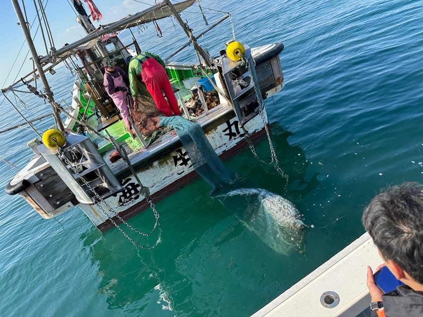 Fishing on a Fishing Boat & Bottom Trawl Tour - Inclusions