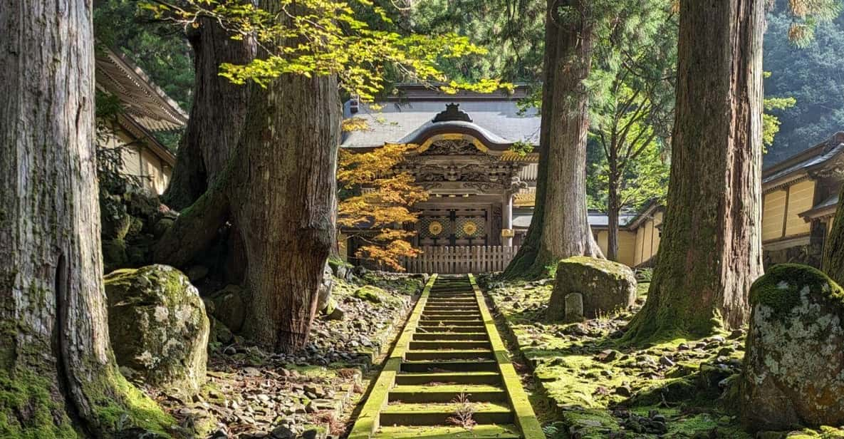 From Kanazawa: Eiheiji Buddhist Temple & Fukui Castle Town - Highlights