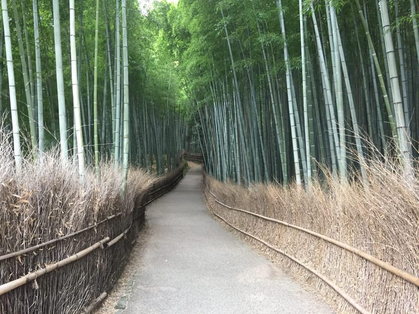 Kyoto, Arashiyama: Bamboo Grove Half-Day Private Guided Tour - Pickup Locations