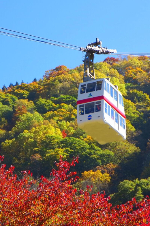 From Takayama: Shinhotaka Ropeway and Kamikochi Tour - Frequently Asked Questions