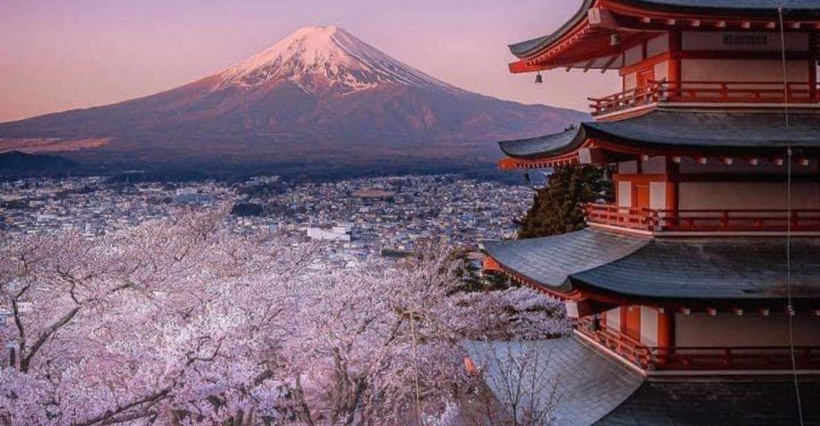 From Tokyo: MT Fuji Hakone Owakudani Valley Private Tour - Key Takeaways