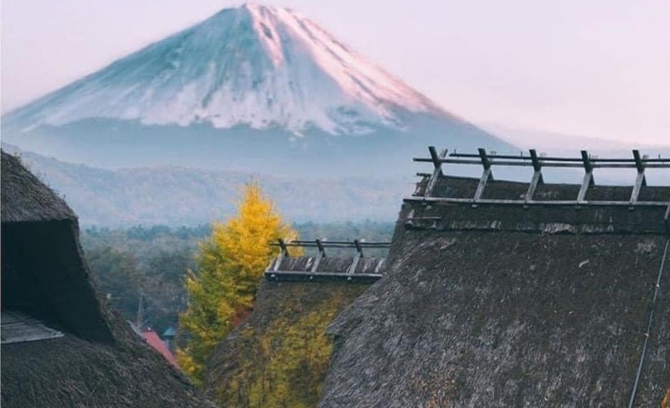 From Tokyo: MT Fuji Hakone Owakudani Valley Private Tour - Pickup and Drop-off Locations