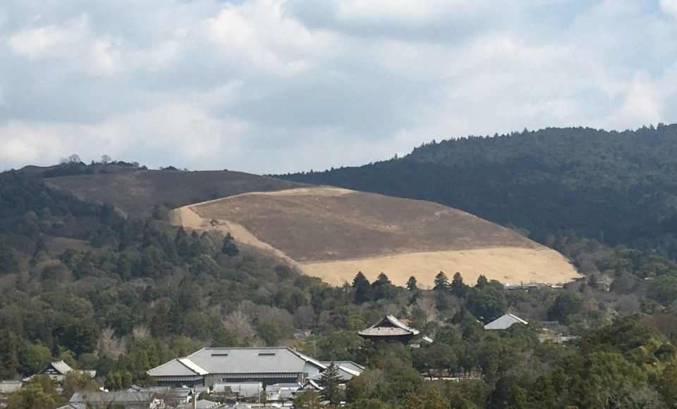 Nara: Half-Day Private Guided Tour - Key Takeaways