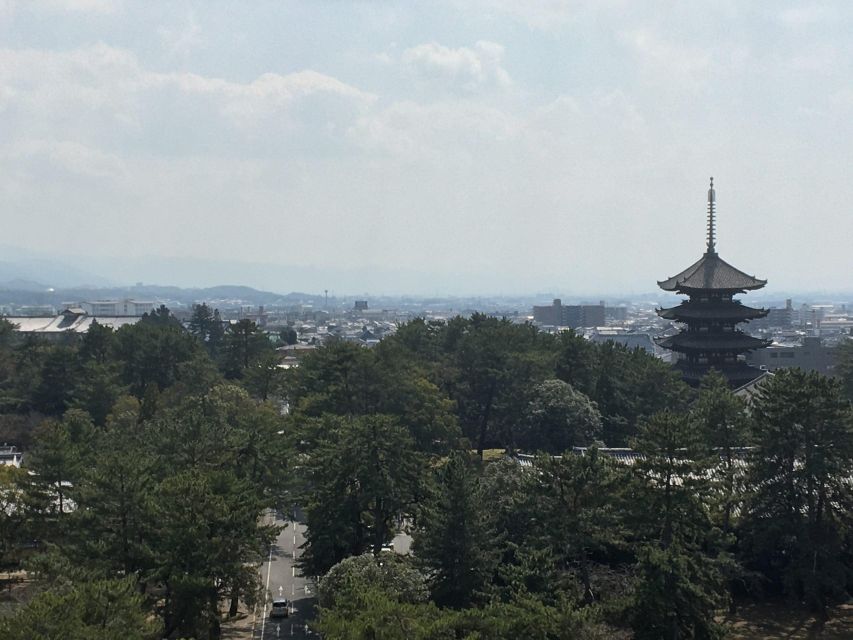 Nara: Half-Day Private Guided Tour - Inclusions